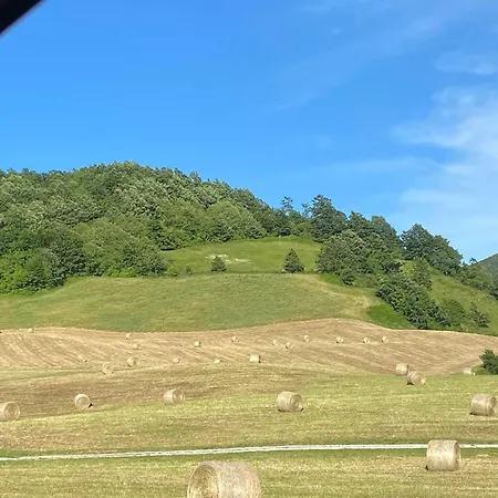 Bordigaie